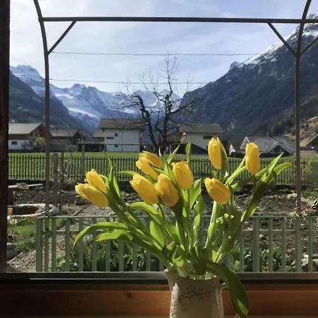 Apartman Neue 2-5- Im Dreigenerationen By Interhome Frutigen