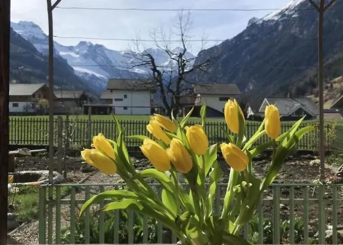 Apartmán Neue 2-5- Im Dreigenerationen By Interhome Frutigen